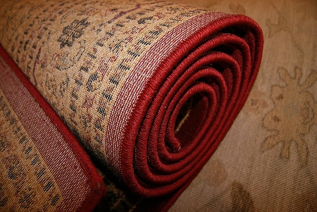 Can Bed Bugs Live in Carpet