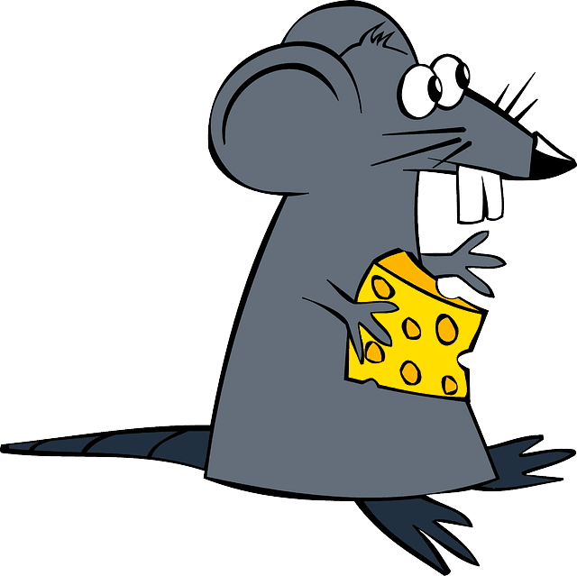 Rat traps