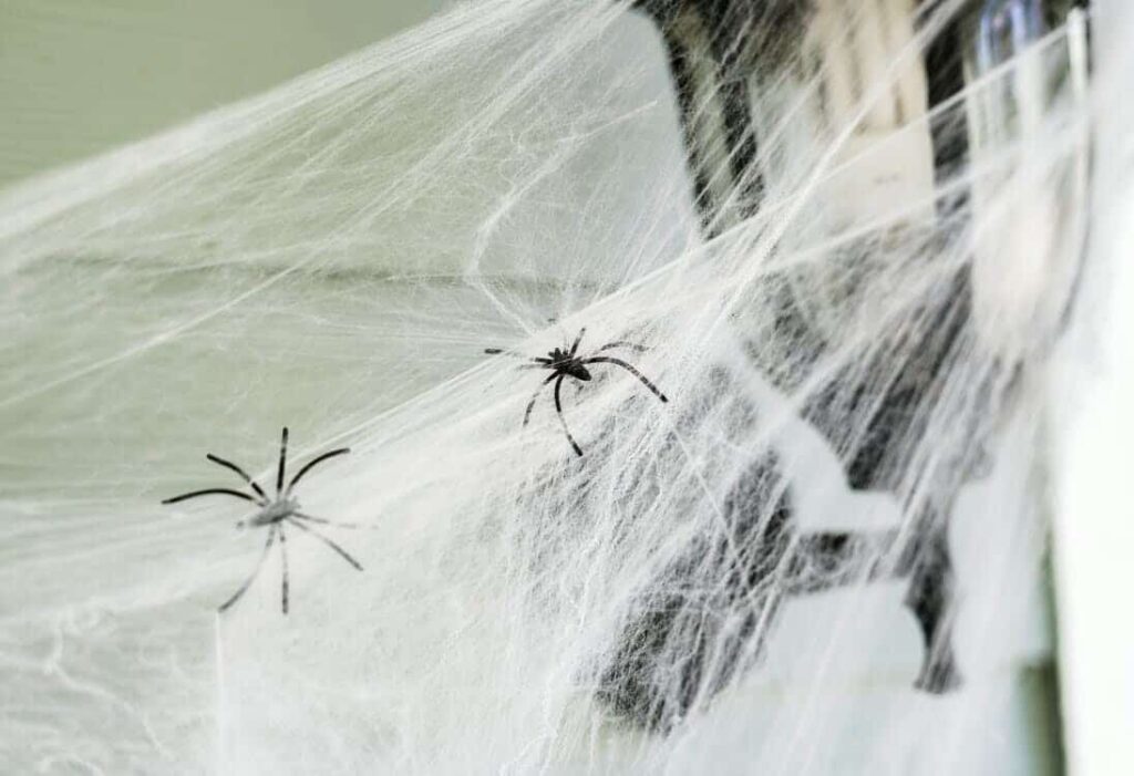 Best Spider Killer Sprays for Indoors