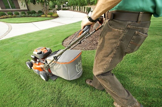 Best Lawn Mower with Mulcher